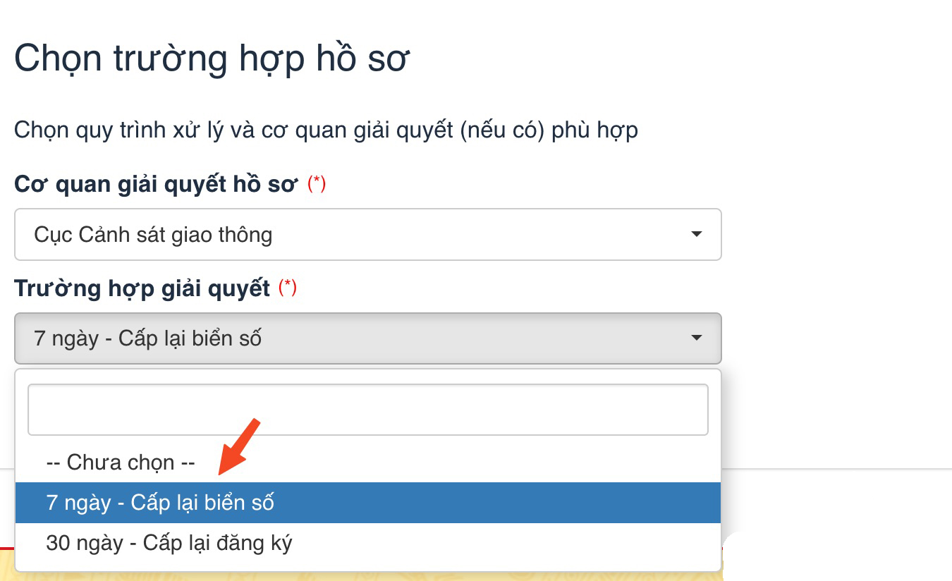 cấp lại biển số xe online