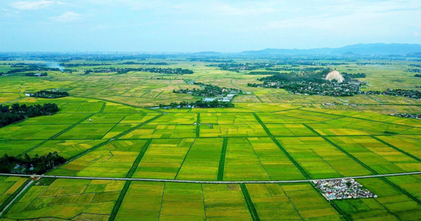Thời hiệu xử phạt vi phạm hành chính lĩnh vực đất đai như thế nào?